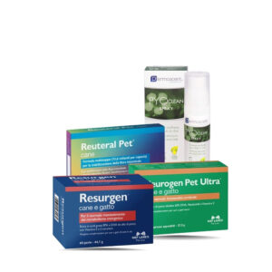 Tera-KIT Invecchiamento cerebrale